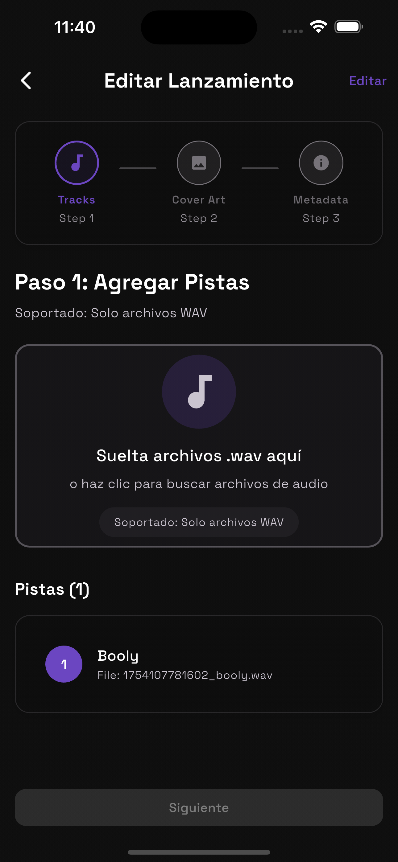 Subida de Pistas